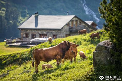 ferme en montagne avec terrasses