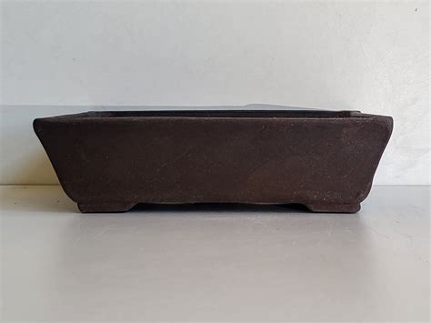 Comparaison visuelle entre un pot rectangulaire et ovale pour bonsaï