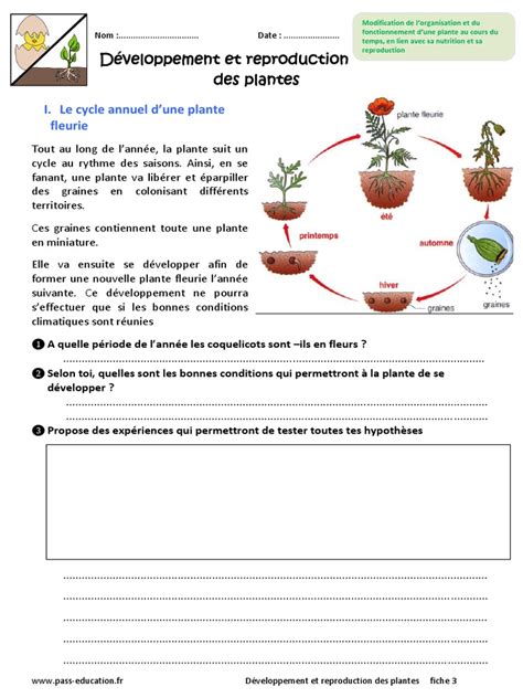 Diagramme illustrant le cycle de reproduction des plantes en milieu contrôlé sous serre