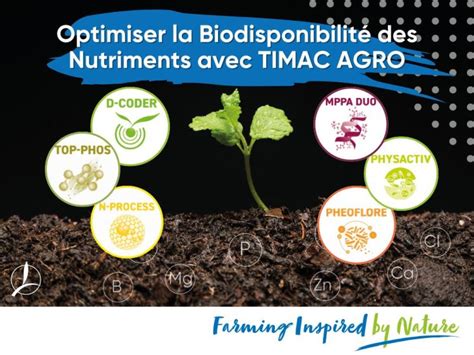 Infographie comparant la biodisponibilité des nutriments entre fumier frais et fumier composté