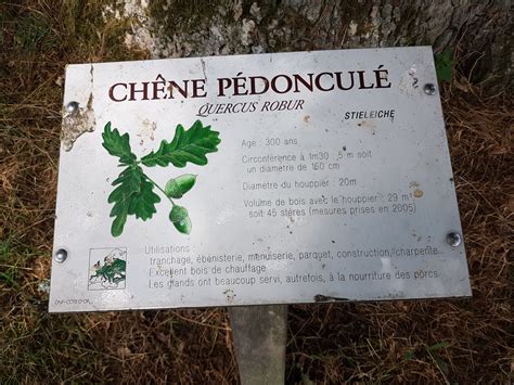 Panneau