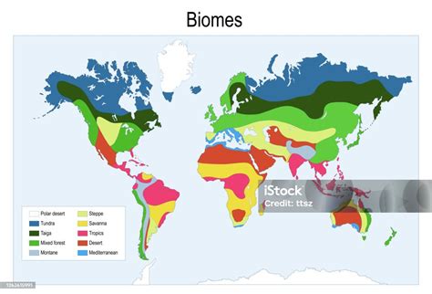 Carte des biomes de l'Institut Myrtille