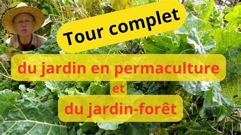 Diagramme des couches d'un jardin-forêt en permaculture