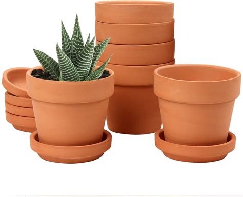 Pots en terre cuite et en céramique avec plantes grasses