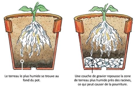 Schéma illustrant le drainage au fond d'un pot pour fruitier