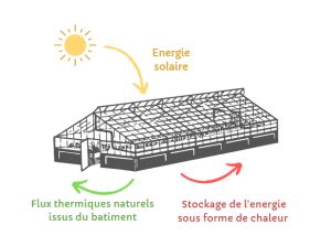 Schéma de fonctionnement d'une serre chauffante avec circulation d'air