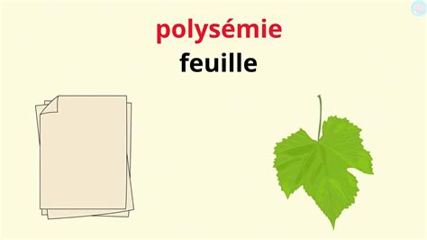 Schéma illustrant la polysémie du mot 
