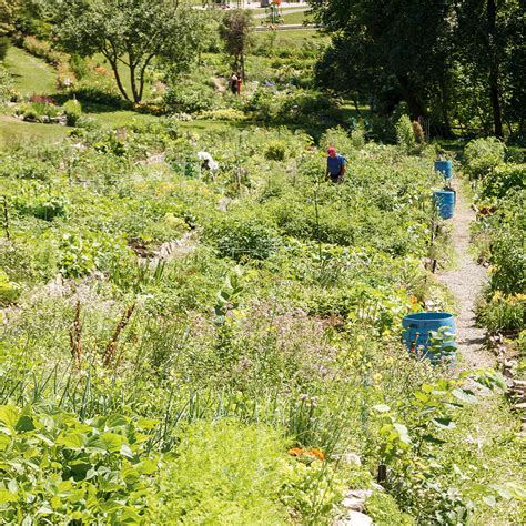 Schéma explicatif des principes de la permaculture appliqués aux jardins familiaux
