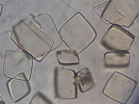 cristaux de sulfamate d'ammonium