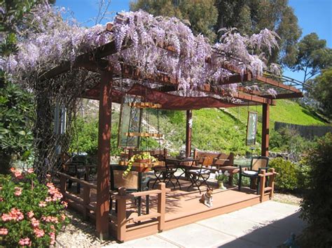 Jardin avec une pergola couverte de glycine en fleurs