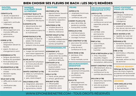 Tableau récapitulatif des types de paillis et leurs applications idéales