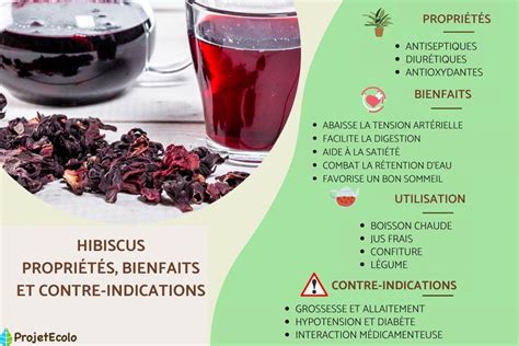 Infographie sur les bienfaits de l'Hibiscus sabdariffa