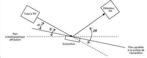 schéma explicatif de la taille des clématites