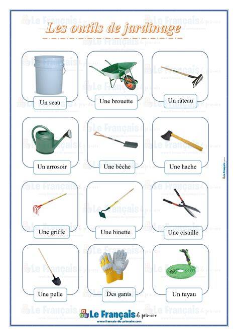 Outils de jardinage recommandés pour la coupe et l'arrachage du lierre