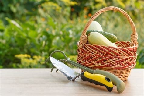 Un potager luxuriant avec des légumes récoltés dans un panier vert matcha