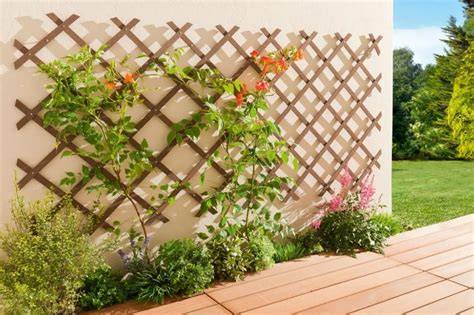 Installation d'un panneau treillis en bois avec plantes grimpantes sur une terrasse