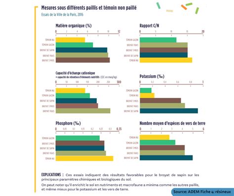 Schéma illustrant la différence entre BRF (jeunes rameaux) et broyat de bois classique