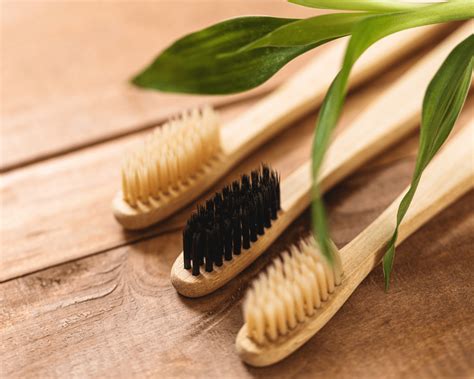 champ de bambou et gros plan sur les fibres d'une brosse à dents écologique