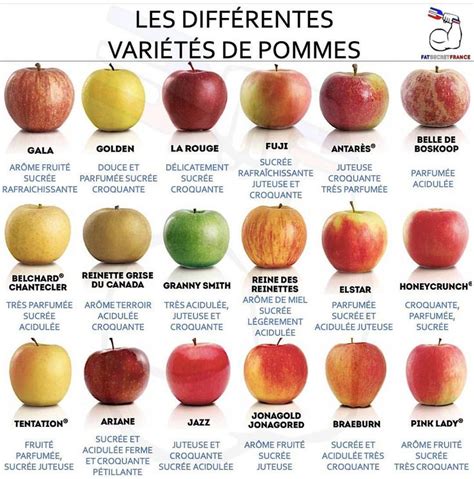 Diversité des variétés de pommes dans un panier