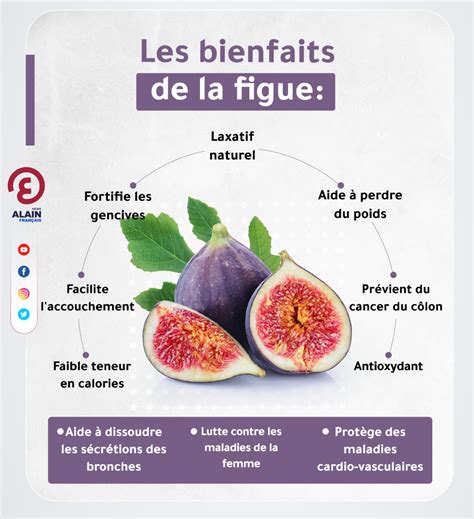 Schéma des bienfaits de la figue selon la médecine traditionnelle