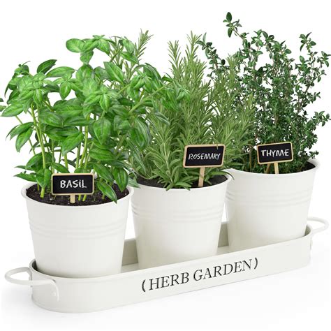 Photo d'un rebord de fenêtre aménagé avec des pots d'herbes aromatiques