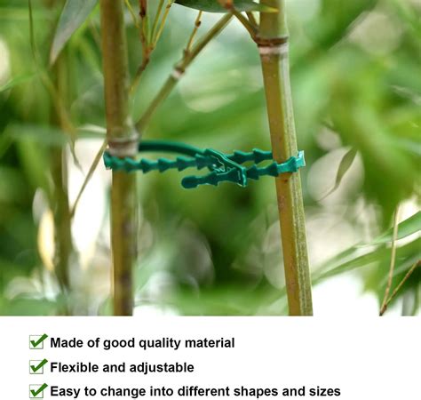 illustration des différentes attaches pour plantes