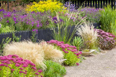 jardin de graminées au soleil