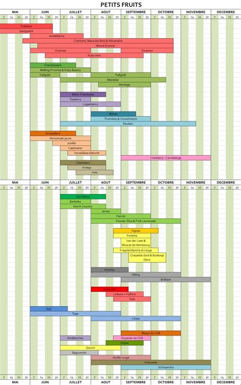 Schéma illustrant les différentes périodes de récolte des fruits et légumes en Île-de-France