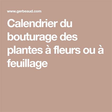 Calendrier visuel du bouturage des plantes