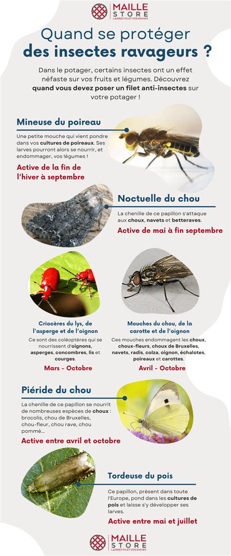 Illustration de différents ravageurs du potager