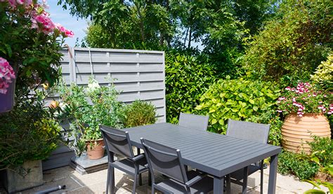 Chèvrefeuille en pot sur une terrasse fleurie