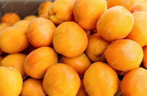 Gros plan sur des abricots Bergeron mûrs