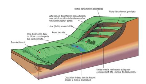 Schéma de talus avec différentes zones de plantation