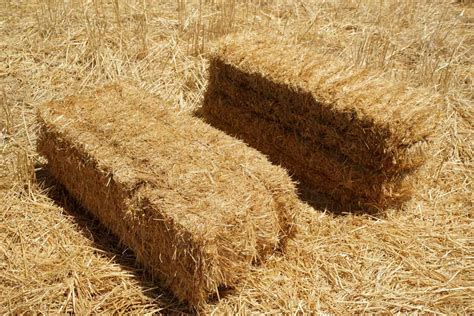 Bottes de paille utilisées pour l'isolation d'une couche chaude