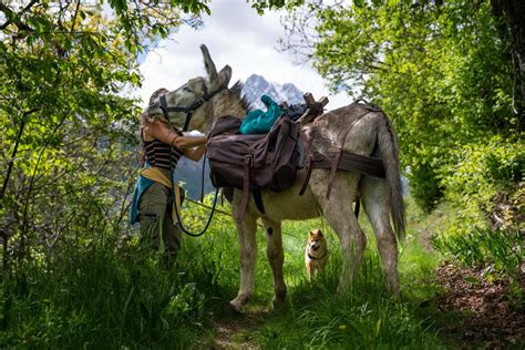 famille marchant sur un sentier avec un âne de bât