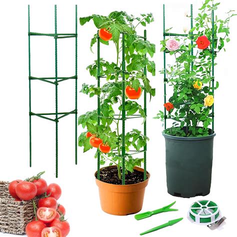 Tuteurs pour tomates