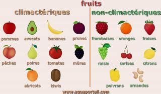 Schéma de la maturation d'un fruit climactérique