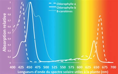 Spectre lumineux et besoins des plantes