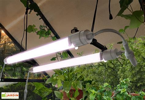 Installation d'une lampe horticole