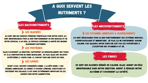 Infographie sur les nutriments essentiels pour la croissance de l'herbe