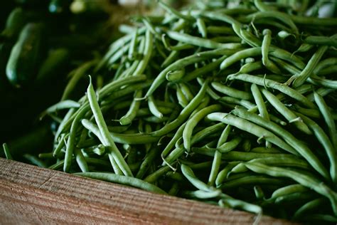 Gousses de haricots verts prêtes à être cueillies