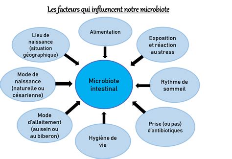 Schéma des facteurs influençant la conservation des légumes