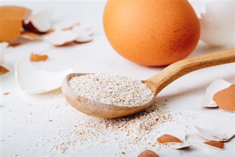 Coquilles d'œufs broyées