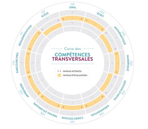 Schéma des compétences transversales en horticulture