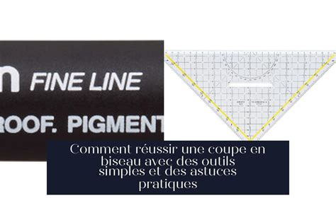 Schéma illustrant la coupe en biseau des tiges pour une absorption optimale