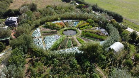 Paysage de jardin en permaculture avec une diversité de plantes et un système de récupération d'eau