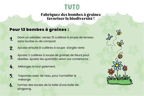 Schéma explicatif de la fabrication de bombes à graines : terre, argile et semences mélangées