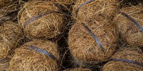 noix de coco et fibre de coco