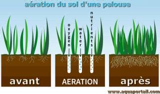 Schéma explicatif de la scarification et de l'aération du sol pour une pelouse