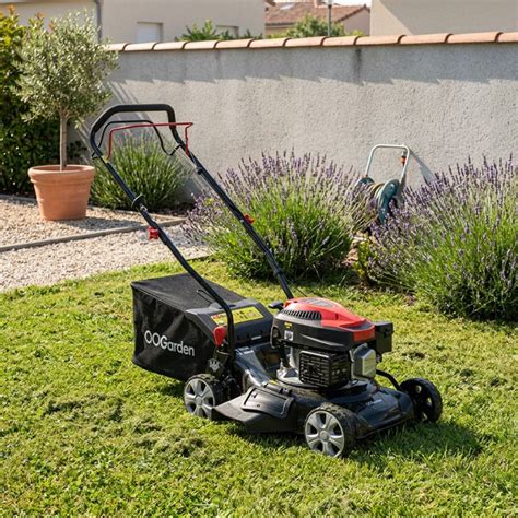 Tondeuse thermique Bolens en action sur une pelouse